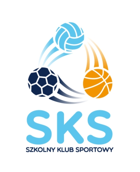 Zajęcia sportowe SKS