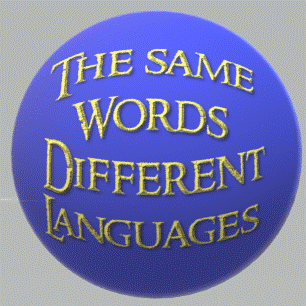 THE SAME WORDS – DIFFERENT LANGUAGES / TE SAME SŁOWA - RÓŻNE JĘZYKI